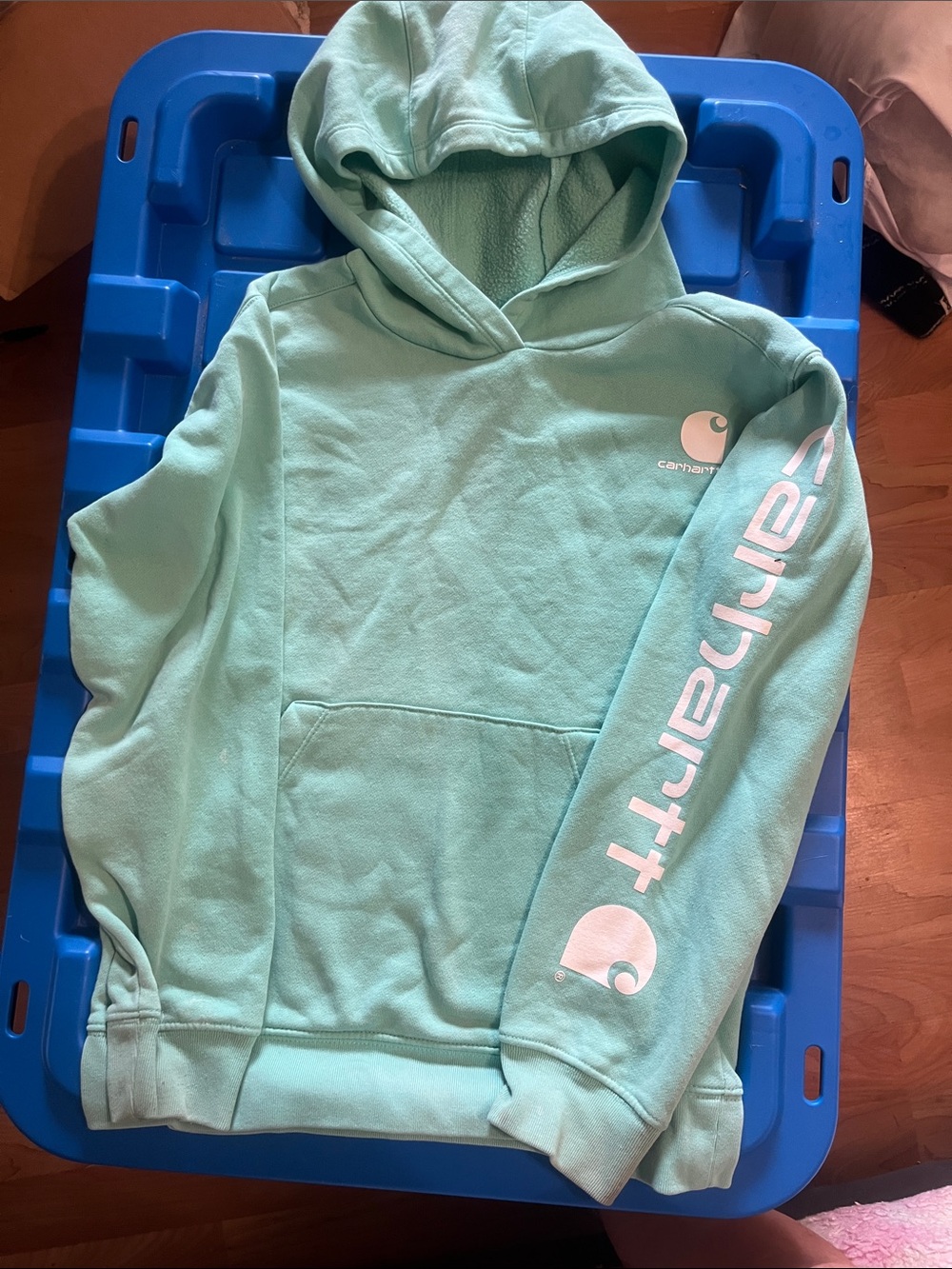 Carhartt Mint Green Hoodie with White Logo and Sleeve Script